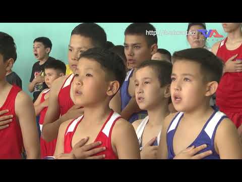 Выпуск программы “День” от 12 июня 2024г.