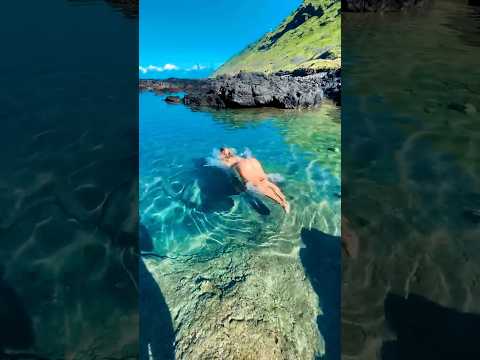 Hawaii tide pool guide #shorts