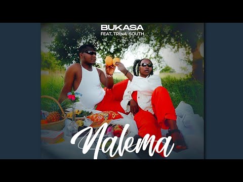 FIRST REACTION :: Bukasa x Trina South - Nalema (Video Dir. Dope Arts Media)