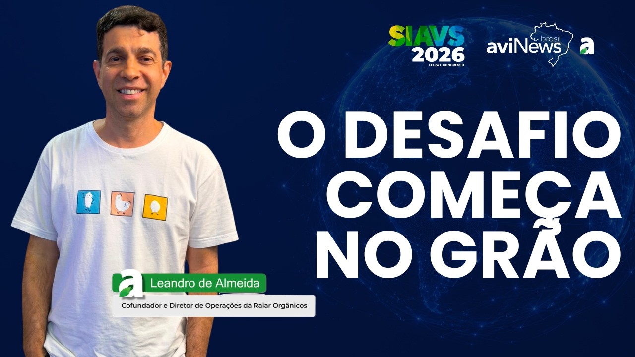 Produção de ovos orgânicos em escala: o que realmente torna esse modelo viável?