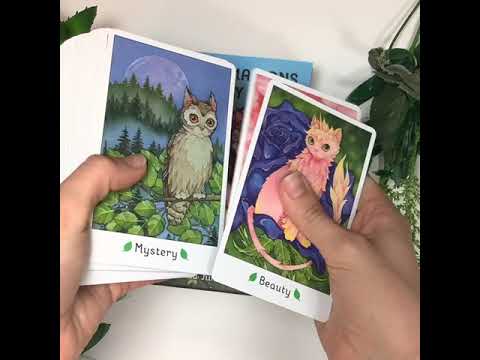 Миниатюра изображения товара Гадальные карты U.S. Games Systems Affirmations of the Fairy Cats Deck and Book Set / AFC41