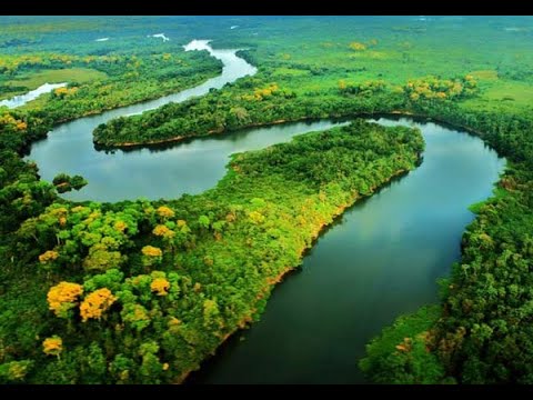 Amazônia Selvagem - Documentário dos animais