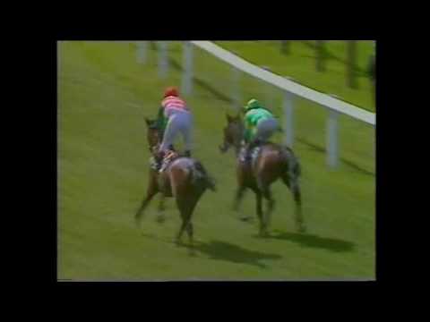 1983 St James Palace Stakes Royal Ascot Horage