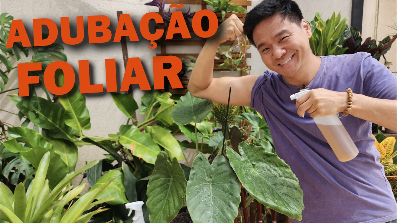 ADUBOS FOLIARES - Aprenda a usar
