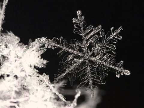 Bea Dostálová - Bea Ch. Dostálová - Za kapkou