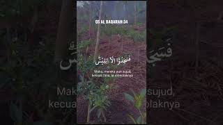 Download lagu Renungan petani 464 #renungan #quotes #petaniindonesia #storywa mp3