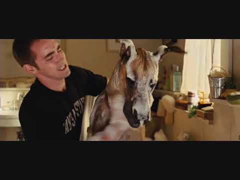 257 Marmaduke   Unrestrictive Relative Clauses