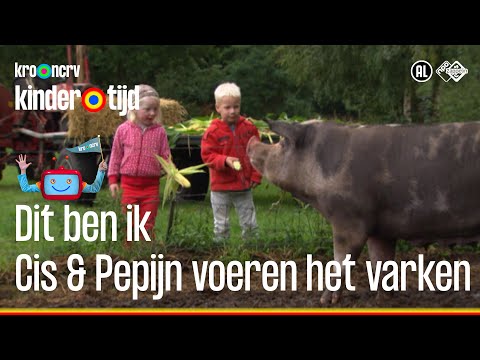 , title : '🐷 Cis en Pepijn voeren mais aan het varken op de boerderij (Kindertijd KRO-NCRV)'