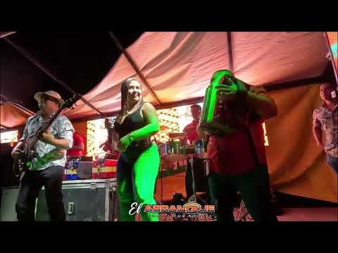 UN AMOR SINCERO - CELSITO QUINTERO ACORDEON DE JOSÉ OLMEDO PÉREZ EN VIVO