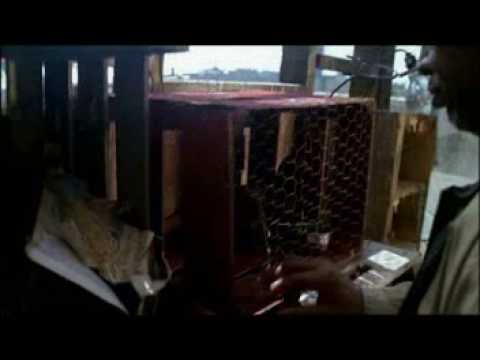 Cold Case End - S5E06 - Wunderkind