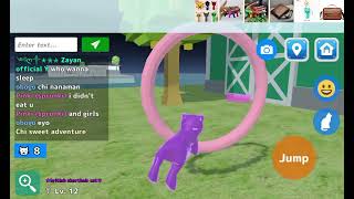 Lavender boo wants to that I'm recording (cat simulator myan)