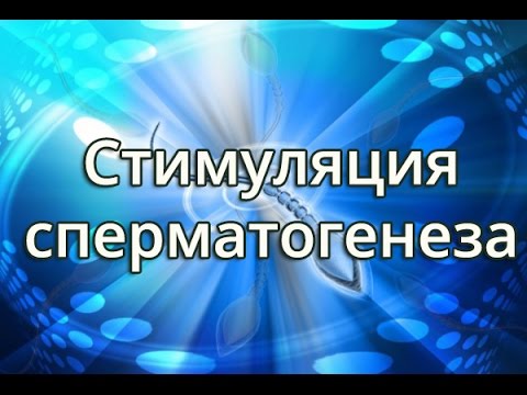 Превью видео на тему Образ жизни мужчины