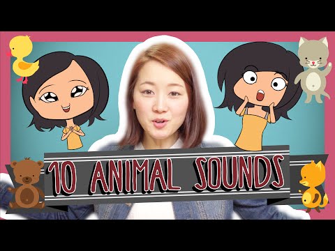 Learn the Top 25 Must Know Japanese Phrases