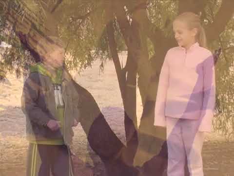 Când ma aflu’n prezenta Ta / In the Stillness of Who You are - Cornelis Van Heyningen