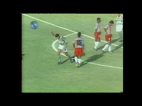 Palmeiras 7 x 0 El Nacional - Libertadores 1995