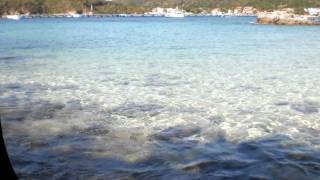 De que sirvio (brindis)