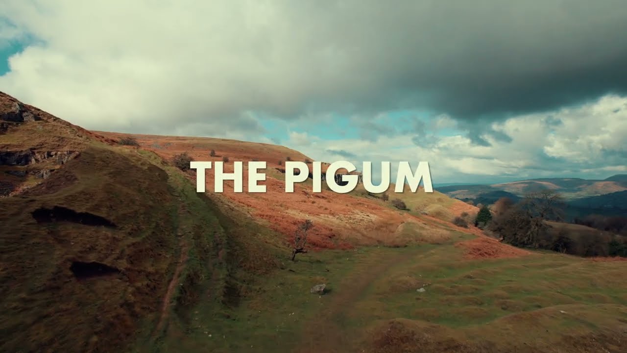 Pigum RAW - Run Every Street