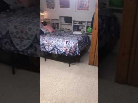 522 REMINGTON - Video 2 of 2