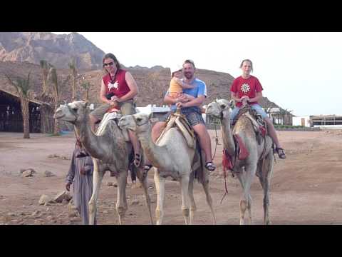 Egypt - s tátou na velbloudovi