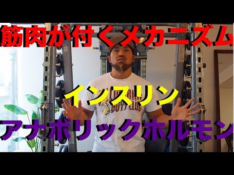  GH のすべて – 筋肉量と定義のためのホルモン