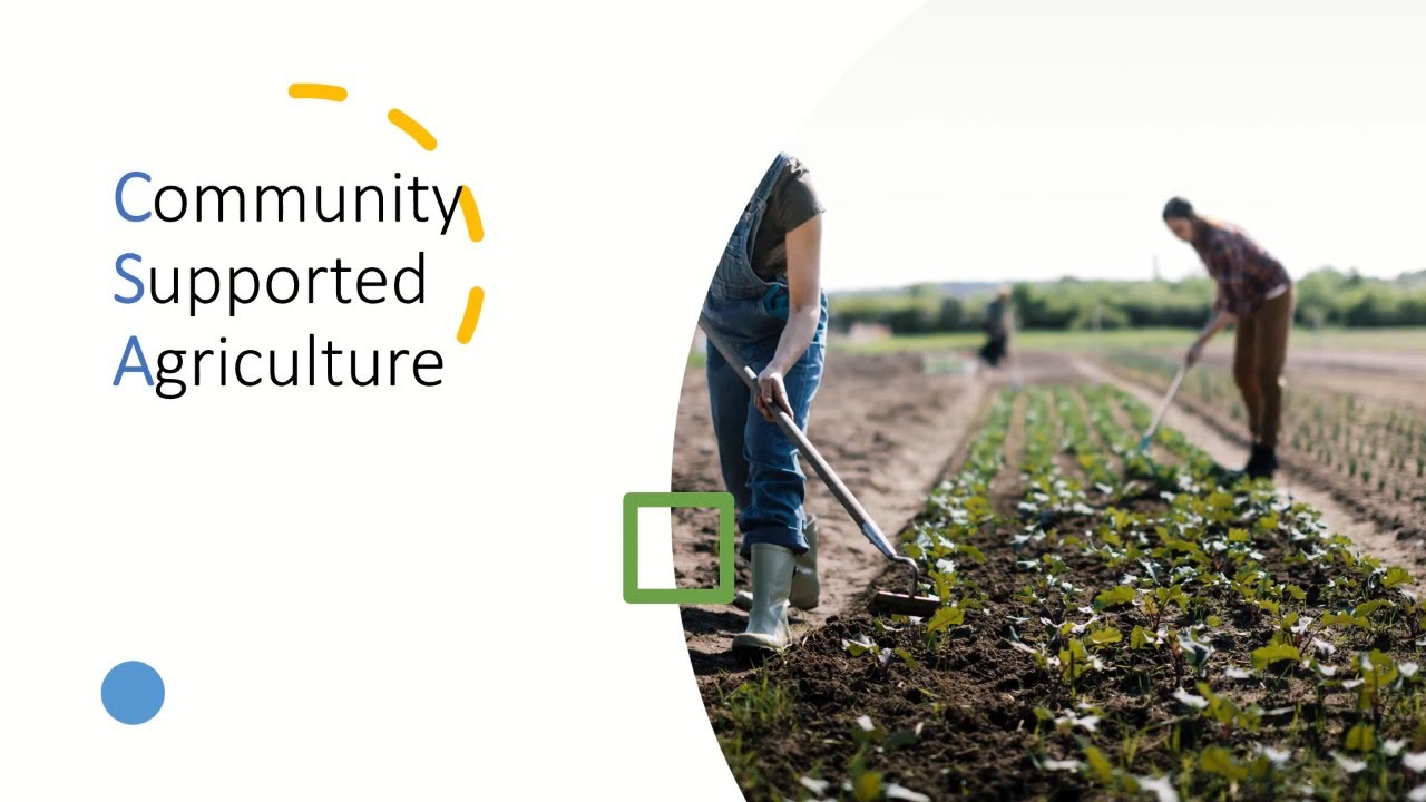 Should you get a CSA? CSA explained