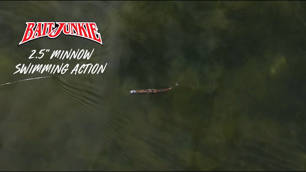 Daiwa Baitjunkie 2.5in Minnow Soft Plastics video thumbnail