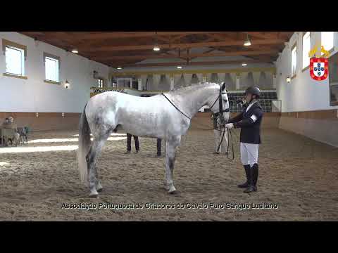 220128 3 Noroeste - Aprovação de Garanhões