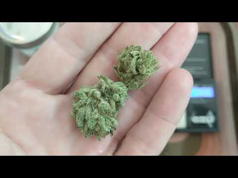 Durban Funk 23% GrowHealthy