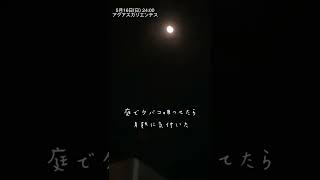 なんか月欠けてねえか、と思って調べたら月蝕だった日 #国際結婚 #海外生活 #月蝕 #月食