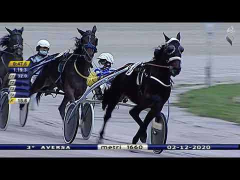Aversa trotto 2 Dicembre 2020 - 3° Corsa