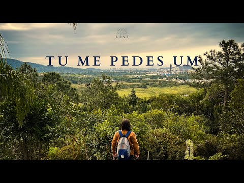 Tu Me Pedes Um - Levi Music