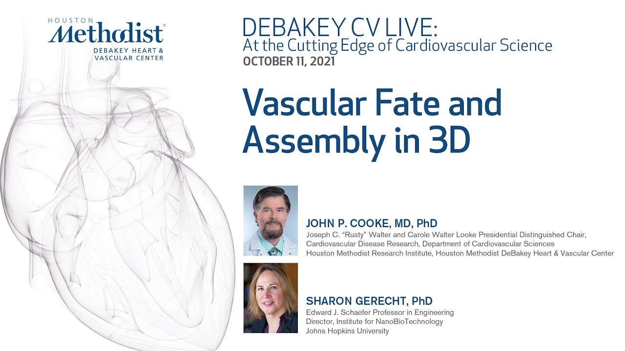 Vascular Fate and Assembly in 3D (John P. Cooke, MD. PhD and Sharon Gerecht, PhD) October 11, 2021