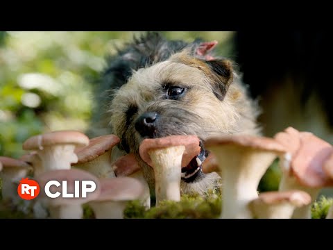 Strays Movie Clip - Magic Mushrooms (2023)