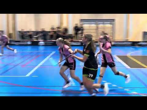 Träningsmatch Dam JAS Gantofta - Åstorp/Kvidinge IBS 2-3