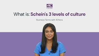 What is: Schein's 3 levels of culture