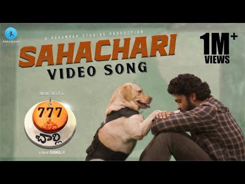 Sahachari Video Song (Telugu) - 777 Charlie | Rakshit Shetty | Nobin Paul | Paramvah Studios