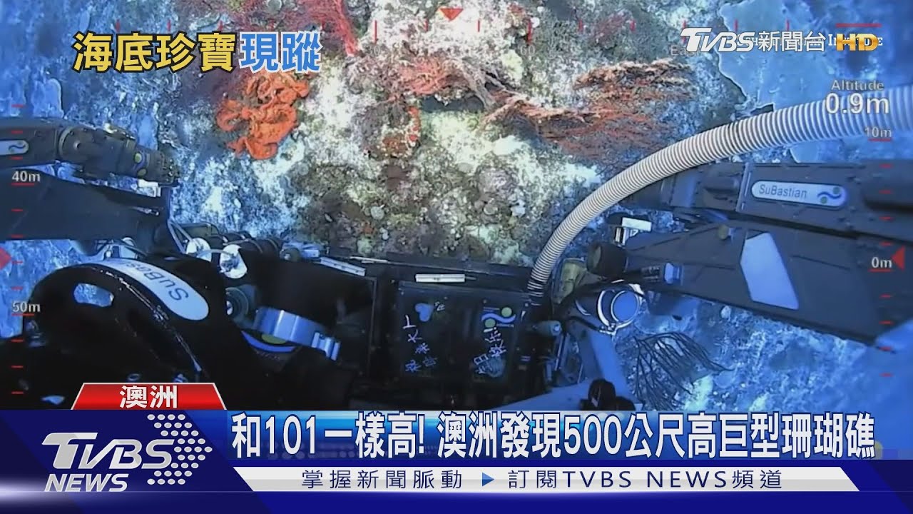 和台北101一樣高! 澳洲驚喜發現巨型珊瑚礁