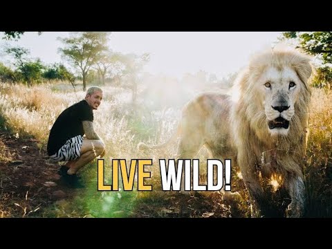 Tick Treatment for the Lions- Dean scnedr