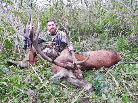 Hunting the Roar in Poland - Part 2 (2017)