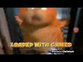 Garfield The Movie DVD TV Spot 2004