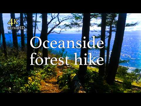 Hike Past PNW Forest Streams To Ocean Cliffs | 4K Virtual Hike