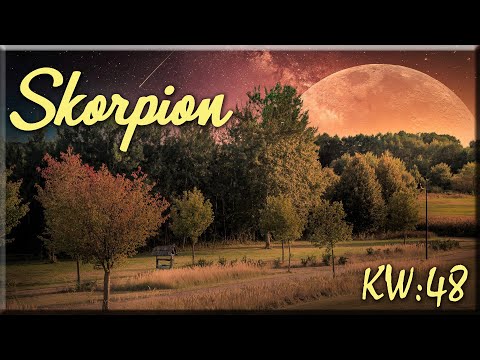 ♏ Skorpion - KW 48 ♏  -  Tarot Wochenausblick  -