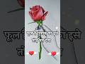 फूल है गुलाब का इसे तोड़ मत देना Gulab Shayari Lov