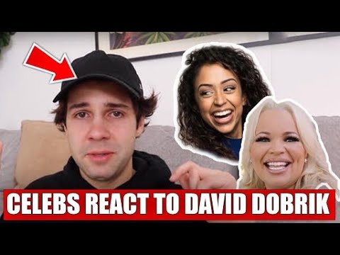 Celebrities React To David Dobriks Apology Video