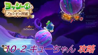 【ヨッシーとフカシギの図鑑】10-2 キューちゃんの生息地(何か起きてる？) 調査コンプリート【攻略/switch2】