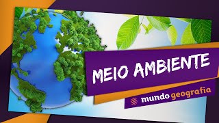 🏭️ Meio Ambiente (2/2): Atividade humana e impactos ambientais - Geografia - ENEM