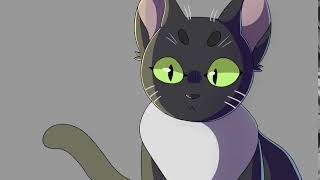 Birthday Present I Did For My Cat (Gif Gift)