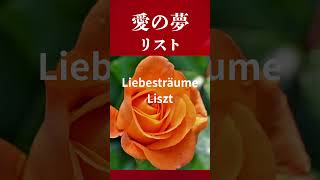 Download lagu 【フルートandピアノ】愛の夢 第3番 / フランツ・リスト / Liebesträume / Franz Liszt mp3 Download lagu 【フルートandピアノ】愛の夢 第3番 / フランツ・リスト / Liebesträume / Franz Liszt mp3