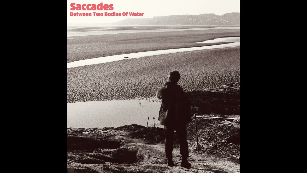 Saccades - Between Two Bodies of Water