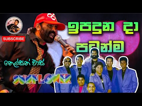 Ipaduna Da Patanma | Nelson Vaas | Old Sunflower | Neel With Sunflower | Subscribe Us